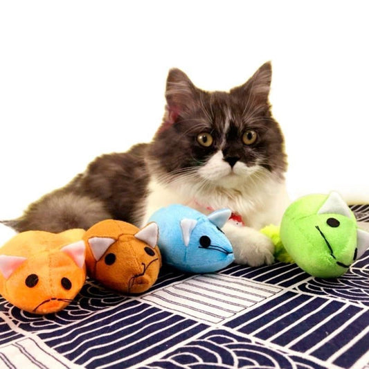 Long Tail Mouse Cat Teaster